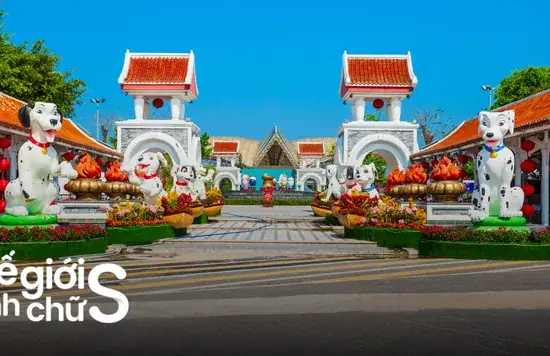 Công Viên Nước Ở Đà Nẵng: Trải Nghiệm Mikazuki Chuẩn Nhật Bản Công Viên Nước Ở Đà Nẵng: Trải Nghiệm Mikazuki Chuẩn Nhật Bản