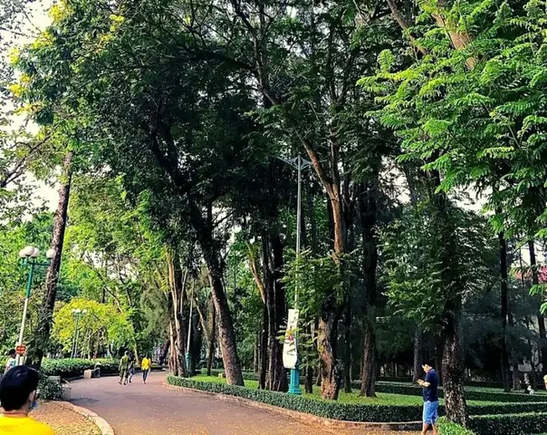Công Viên Phú Lâm Quận 6: Khám Phá Không Gian Xanh