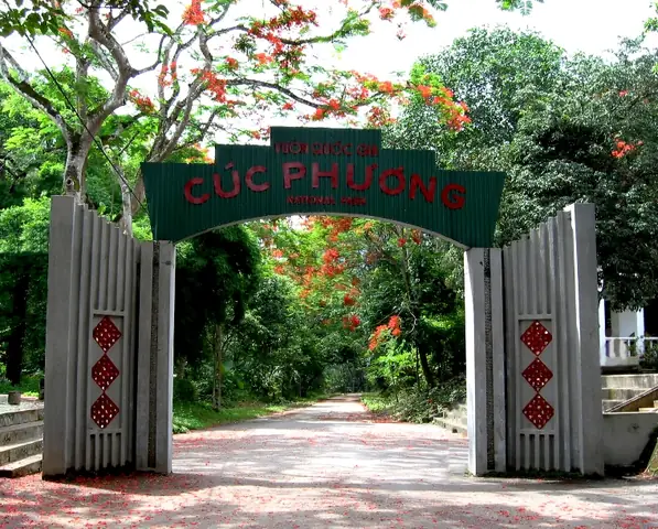Vườn Quốc Gia Cúc Phương: Cẩm Nang Khám Phá Thiên Nhiên Và Văn Hóa Vườn Quốc Gia Cúc Phương: Cẩm Nang Khám Phá Thiên Nhiên Và Văn Hóa