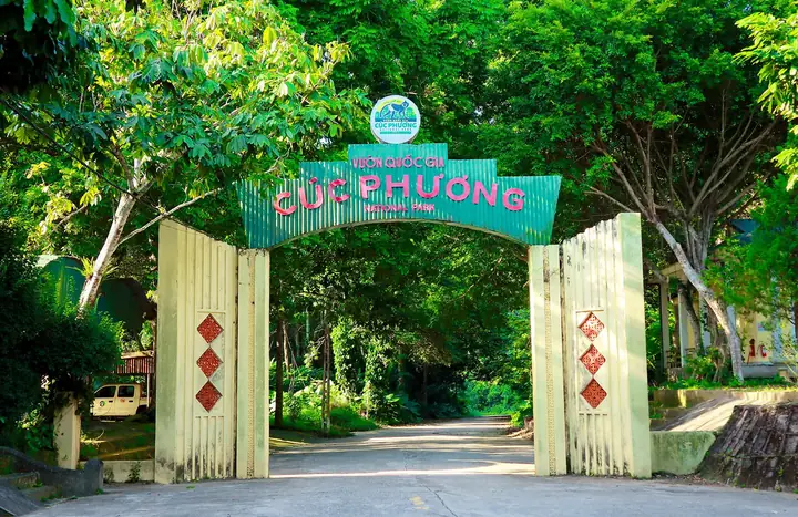 Vườn Quốc Gia Cúc Phương: Cẩm Nang Khám Phá Thiên Nhiên Và Văn Hóa Vườn Quốc Gia Cúc Phương: Cẩm Nang Khám Phá Thiên Nhiên Và Văn Hóa