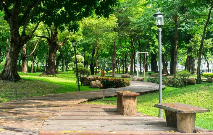 Top 12 Công Viên Sài Gòn Xanh Mát, Đẹp Nhất 2026
