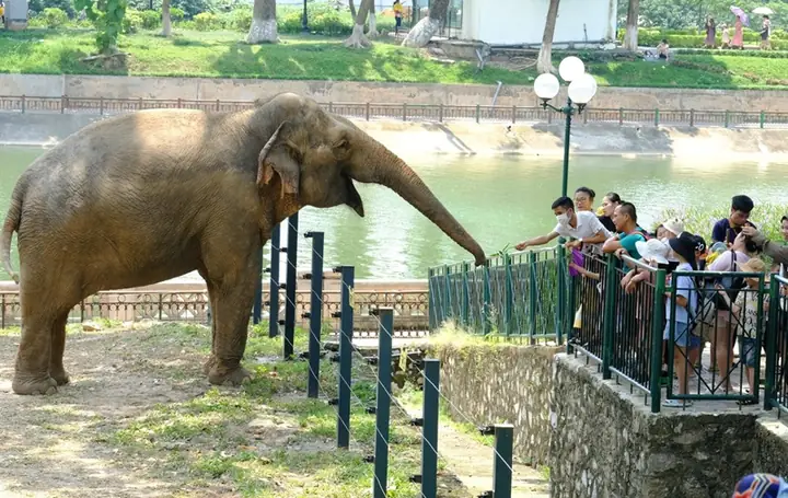 Khám Phá Công Viên Thủ Lệ – Hướng Dẫn Chi Tiết Vị Trí, Giá Vé & Hoạt Động Khám Phá Công Viên Thủ Lệ – Hướng Dẫn Chi Tiết Vị Trí, Giá Vé & Hoạt Động