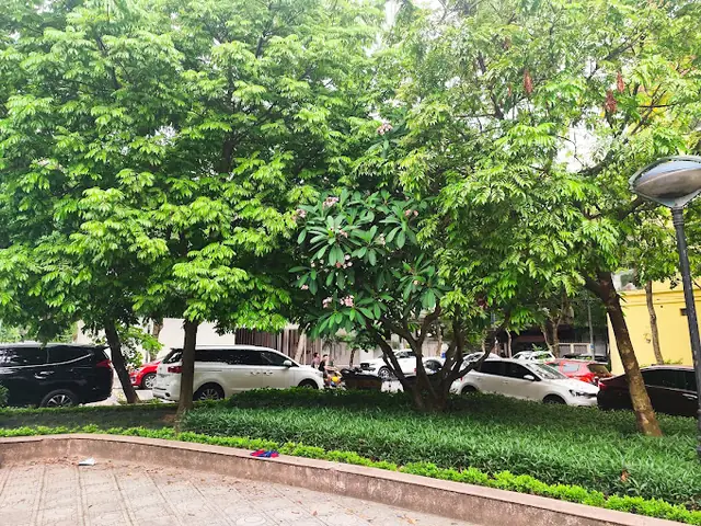 Công Viên Yên Hòa Cầu Giấy Hà Nội: Đánh Giá Toàn Diện Và Trải Nghiệm Thực Tế