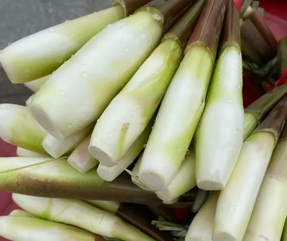 Củ Niễng Nam Định: Đặc Sản Ngon, Cách Chế Biến