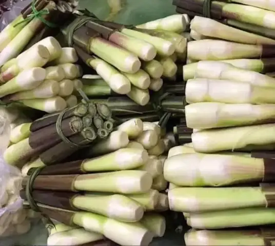 Củ Niễng Nam Định: Đặc Sản Ngon, Cách Chế Biến
