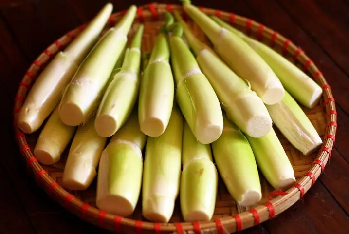 Củ Niễng Nam Định: Đặc Sản Ngon, Cách Chế Biến