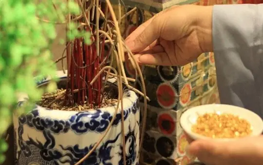 Cúng Ông Công Ông Táo: Hướng Dẫn Chi Tiết Về Lễ Vật, Mâm Cỗ Và Cách Thực Hiện Đúng Truyền Thống Cúng Ông Công Ông Táo: Hướng Dẫn Chi Tiết Về Lễ Vật, Mâm Cỗ Và Cách Thực Hiện Đúng Truyền Thống