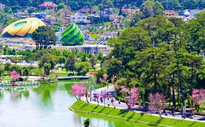 Đà Lạt Có Sân Bay Không? Cẩm Nang Đi Máy Bay Chi Tiết Từ A-z