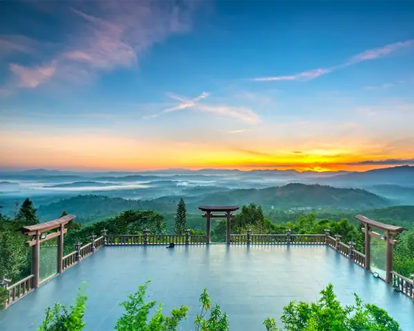 Đà Lạt Có Sân Bay Không? Cẩm Nang Đi Máy Bay Chi Tiết Từ A-z