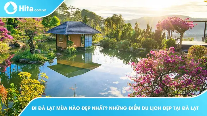 Đà Lạt Mùa Nào Đẹp Nhất? Hướng Dẫn Trải Nghiệm 5 Mùa Hoa Nở Rộ
