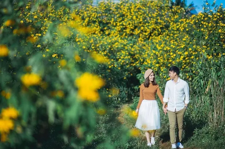 Đà Lạt Tháng 11 Có Mưa Không? Dự Báo Thời Tiết Chi Tiết