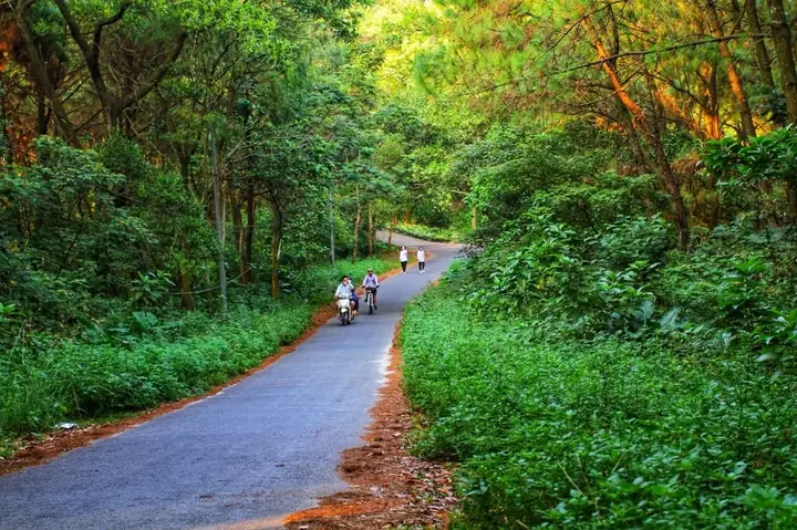 Khám Phá Đà Lạt Thu Nhỏ Hải Phòng: Hòn Đảo Dấu & Đồ Sơn