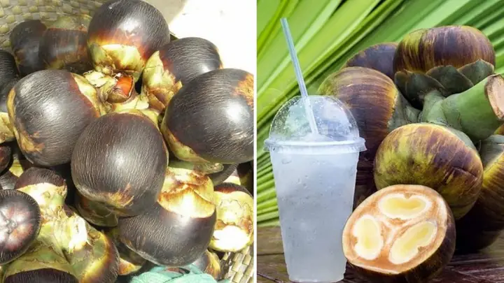 Khám Phá 15 Đặc Sản Châu Đốc Ngon Không Thể Bỏ Lỡ