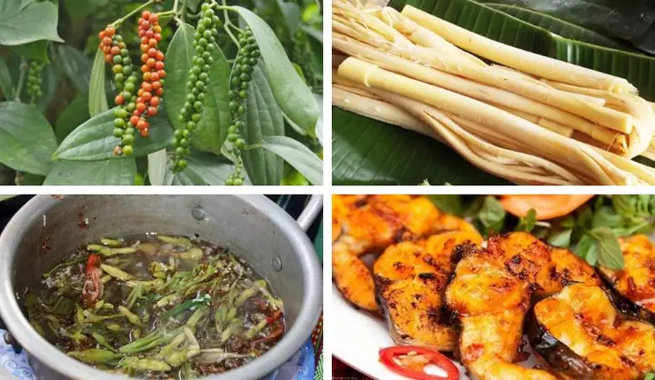 Đặc Sản Đắk Nông Là Gì? – Khám Phá Hương Vị Miền Tây Nguyên Sơ