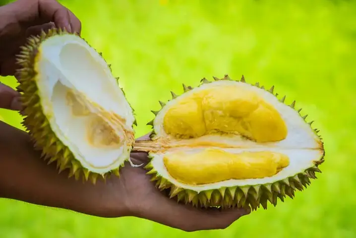 Đặc Sản Đắk Nông Là Gì? – Khám Phá Hương Vị Miền Tây Nguyên Sơ