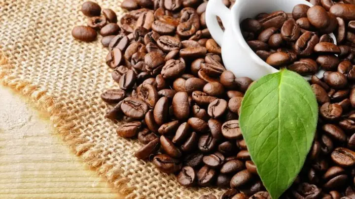 Đặc Sản Đắk Nông Là Gì? – Khám Phá Hương Vị Miền Tây Nguyên Sơ