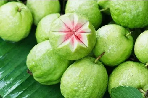 Đặc Sản Gia Lâm Hà Nội Toàn Tập: Hành Trình Vị Giác Ven Đô
