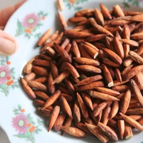 Khám Phá Đặc Sản Vũng Tàu: Top 10 Món Ngon Cho Du Khách