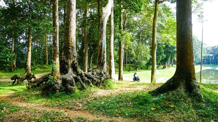 Du Lịch Trà Vinh: Khám Phá 12 Địa Điểm Hấp Dẫn
