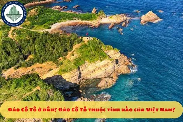 Đảo Cô Tô Thuộc Tỉnh Nào? Cẩm Nang Du Lịch Toàn Diện 2026