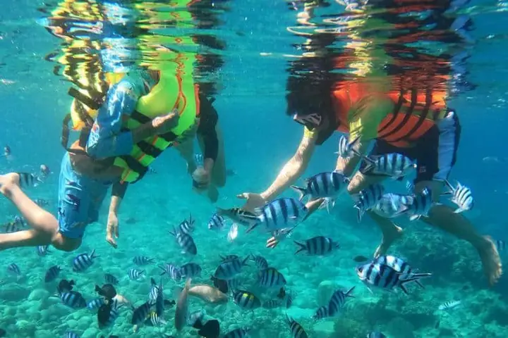 Đảo Hòn Mun Nha Trang: Cẩm Nang Du Lịch Toàn Diện
