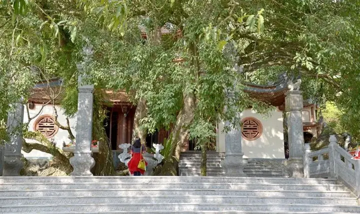 Đền Cấm Tuyên Quang Thờ Ai? Giải Đáp Đầy Đủ