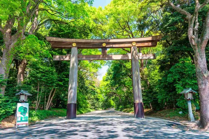 Đền Meiji Jingu: Khám Phá Không Gian Tâm Linh Tokyo Đền Meiji Jingu: Khám Phá Không Gian Tâm Linh Tokyo