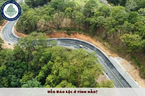 Đèo Bảo Lộc Thuộc Tỉnh Nào? Đèo Bảo Lộc Thuộc Tỉnh Nào?