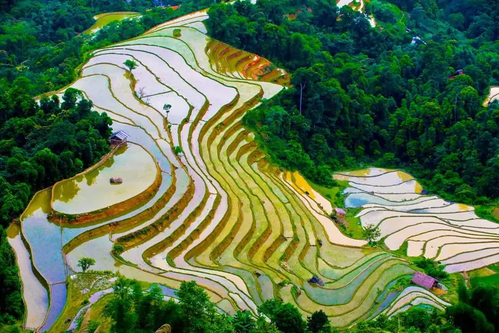 Du Lịch Hà Giang Mùa Nào Đẹp Nhất? Khám Phá Cảnh Sắc 12 Tháng