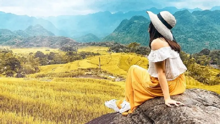 Du Lịch Hà Giang Mùa Nào Đẹp Nhất? Khám Phá Cảnh Sắc 12 Tháng