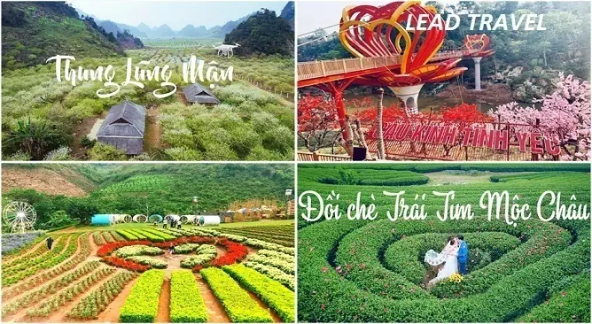 Mộc Châu Mùa Nào Đẹp Nhất? Cẩm Nang Chi Tiết Theo Từng Mùa Mộc Châu Mùa Nào Đẹp Nhất? Cẩm Nang Chi Tiết Theo Từng Mùa