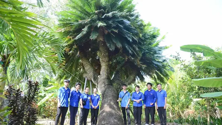 Đình Phú Nhuận Bến Tre: Hành Trình Khám Phá Di Sản Văn Hóa Trăm Năm