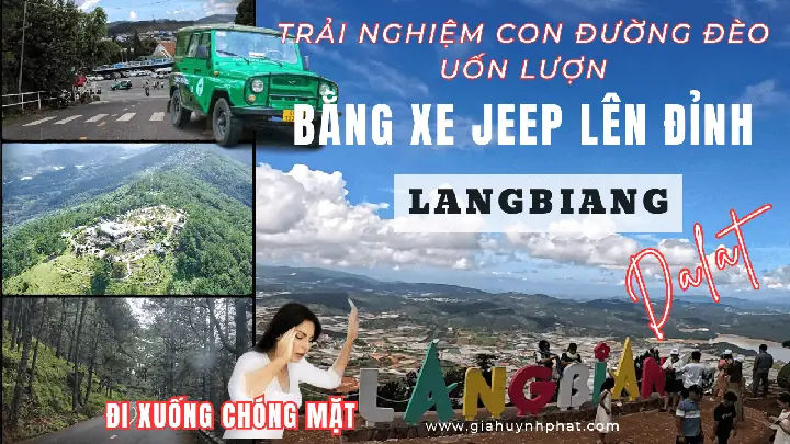 Hướng Dẫn Chi Tiết Trải Nghiệm Đi Xe Jeep Lên Đỉnh Langbiang