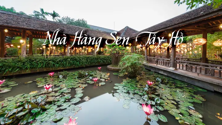 Buffet Sen Tây Hồ: Địa Chỉ, Đánh Giá Chi Tiết Và Kinh Nghiệm Thực Tế