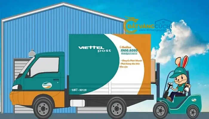 Địa Đạo Bến Đình Củ Chi: Địa Chỉ Chi Tiết, Hướng Dẫn Di Chuyển & Trải Nghiệm Thực Tế Địa Đạo Bến Đình Củ Chi: Địa Chỉ Chi Tiết, Hướng Dẫn Di Chuyển & Trải Nghiệm Thực Tế