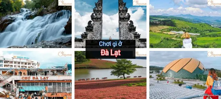 Top Địa Điểm Du Lịch Đà Lạt Đáng Khám Phá Top Địa Điểm Du Lịch Đà Lạt Đáng Khám Phá