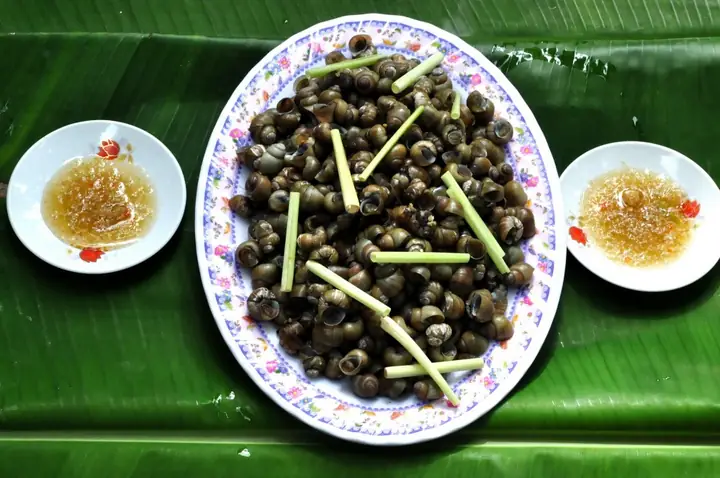 Cẩm Nang Du Lịch Bến Tre: Khám Phá Xứ Dừa Với Hơn 15 Điểm Đến Đặc Sắc Cẩm Nang Du Lịch Bến Tre: Khám Phá Xứ Dừa Với Hơn 15 Điểm Đến Đặc Sắc