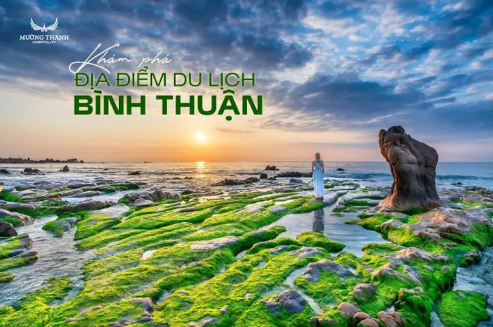 Khám Phá Địa Điểm Du Lịch Bình Thuận Cho Du Khách Mới