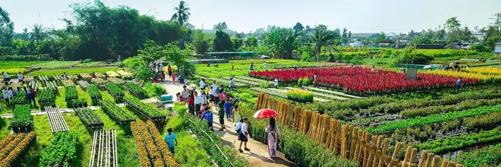 Khám Phá 10 Địa Điểm Du Lịch Đồng Tháp Hấp Dẫn Cho Du Khách Khám Phá 10 Địa Điểm Du Lịch Đồng Tháp Hấp Dẫn Cho Du Khách