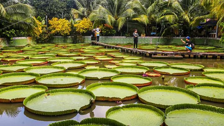 Khám Phá 10 Địa Điểm Du Lịch Đồng Tháp Hấp Dẫn Cho Du Khách Khám Phá 10 Địa Điểm Du Lịch Đồng Tháp Hấp Dẫn Cho Du Khách