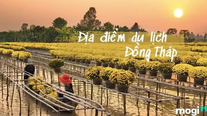 Khám Phá 10 Địa Điểm Du Lịch Đồng Tháp Hấp Dẫn Cho Du Khách Khám Phá 10 Địa Điểm Du Lịch Đồng Tháp Hấp Dẫn Cho Du Khách