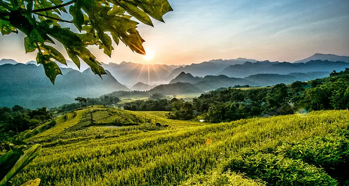 Địa Điểm Du Lịch Thanh Hóa: Top 10 Điểm Đến Không Thể Bỏ Qua Và Kinh Nghiệm Khám Phá