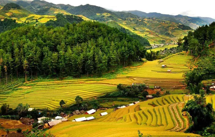 Địa Điểm Du Lịch Thanh Hóa: Top 10 Điểm Đến Không Thể Bỏ Qua Và Kinh Nghiệm Khám Phá