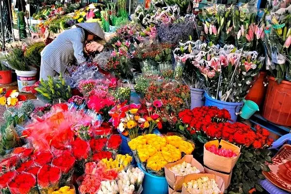 Top 14 Địa Điểm Vui Chơi Đà Lạt Thú Vị Nhất