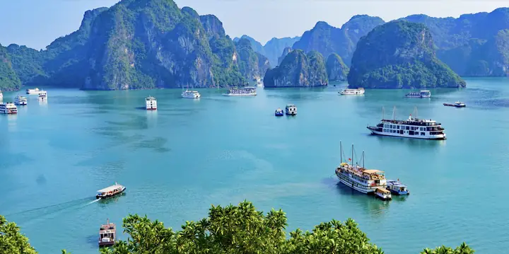 Khám Phá Hải Phòng Có Gì Chơi: 20 Địa Điểm Giải Trí