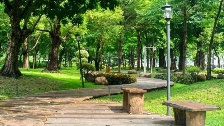 Khám Phá Công Viên Tao Đàn: Lịch Sử, Diện Tích, Hoạt Động & Mẹo Dã Ngoại