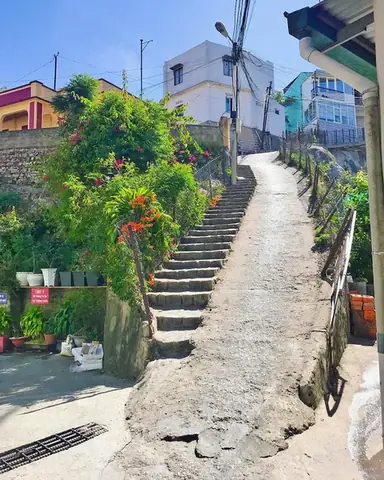 Khám Phá Dốc Nhà Bò Đà Lạt: Hướng Dẫn Chi Tiết Cho Du Khách Khám Phá Dốc Nhà Bò Đà Lạt: Hướng Dẫn Chi Tiết Cho Du Khách