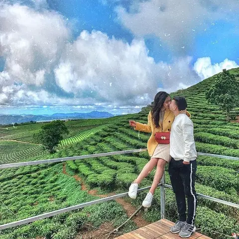 Cẩm Nang Đồi Chè Mộc Châu Toàn Tập: Vị Trí, Kinh Nghiệm & Mẹo Chụp Ảnh Đẹp Cẩm Nang Đồi Chè Mộc Châu Toàn Tập: Vị Trí, Kinh Nghiệm & Mẹo Chụp Ảnh Đẹp