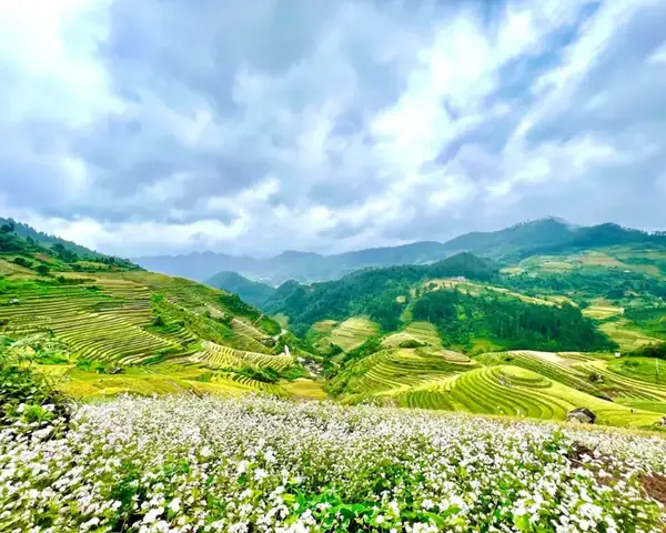 Đồi Mâm Xôi La Pán Tẩn Là Gì? Điểm Đến Huyền Bí Đáng Khám Phá