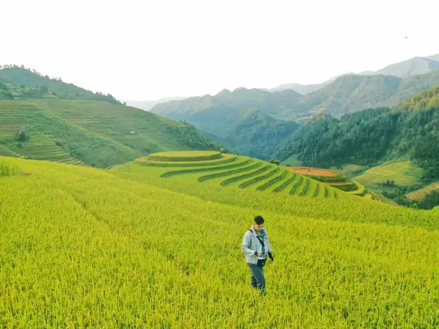 Đồi Mâm Xôi La Pán Tẩn Là Gì? Điểm Đến Huyền Bí Đáng Khám Phá